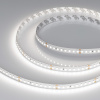 Arlight Лента RT-A144-10mm 24V White6000 (7.7 W/m, IP20, 2835, 5m) (высок.эфф.200 лм/Вт)