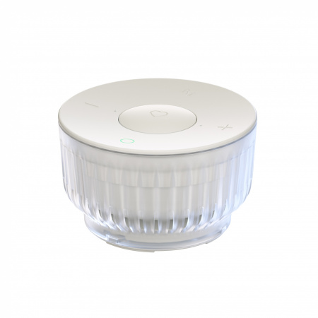 SBER SberBoom Mini 2 Неоновый серый Умная колонка с голосовым управлением