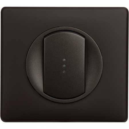 Legrand Celiane Мех выключателя 2 (1) мод