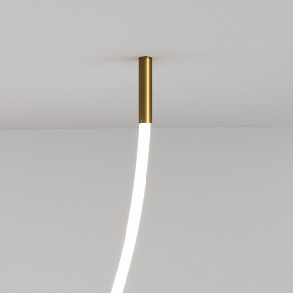 Подвесные крепления для круглого гибкого неона Full light FL 28120 латунь Elektrostandard Full light a063434 Подвесные крепления для круглого гибкого неона Full light FL 28120 латунь Elektrostandard Full light a063434