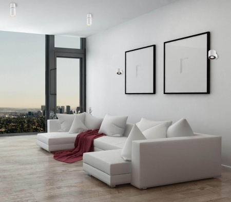 Потолочный светильник Odeon Light Hightech Duetta 3582/1C