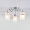 Потолочная люстра с плафонами 30160/3 хром Eurosvet Darcy