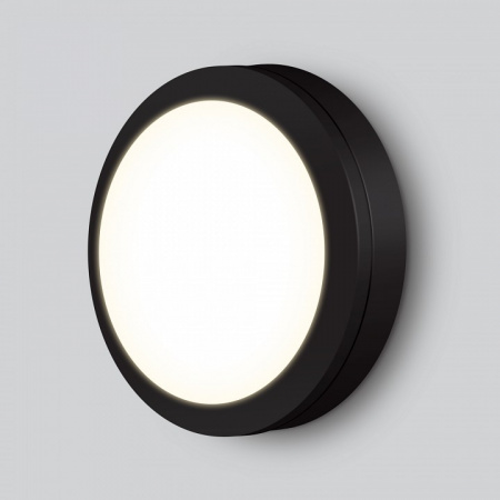 Пылевлагозащищенный светодиодный светильник 6500К LTB51 черный Elektrostandard Circle a048706