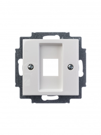 ABB BJB Basic 55 Бел Плата центральная  1-я для коммуникац розеток 0210, 0211 и 0219