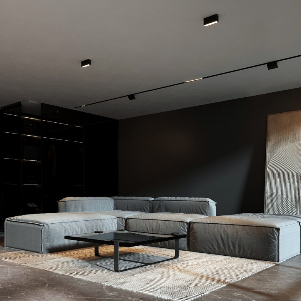 Светильник потолочный светодиодный 10W 3000K черный Block 25109/LED Elektrostandard Block a066998 Светильник потолочный светодиодный 10W 3000K черный Block 25109/LED Elektrostandard Block a066998