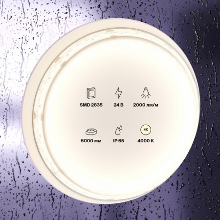 Светодиодная лента Led Strip 10158 Maytoni Led strip