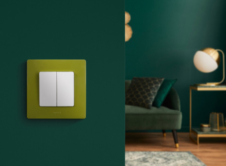 Legrand Etika Белый Выключатель 2-х клавишный, 10А