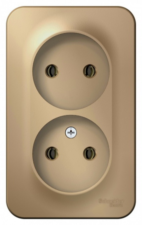 SE Blanca наруж Титан Розетка 2-ая б/з без шторок 16А, 250В, изолир. пластина