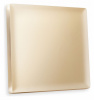 Лицевая панель ALFA (Шампань) для 1-клавишных выключателей QUANT AP6010