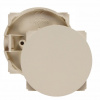 Legrand Celiane Беж Заглушка