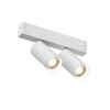 DK8012-WH Акцентный светильник SMART SPOT DOUBLE 2x9W DIM 3000K-6000K, белый