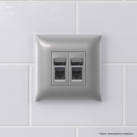 DKC Avanti Закаленная сталь Компьютерная розетка RJ-45 двойная  категория  6А