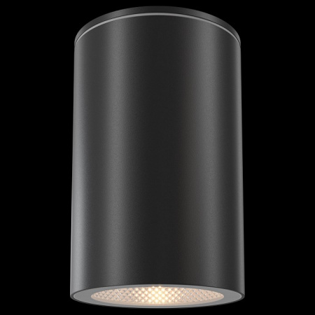 Потолочный светильник Outdoor O307CL-01B Maytoni Roll