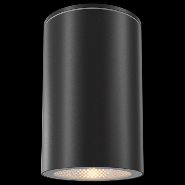 Потолочный светильник Outdoor O307CL-01B Maytoni Roll