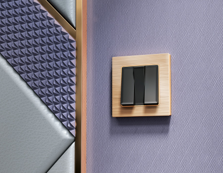 Рамка ALFA Platos (Шампань Металл шлифованный) 2-ая AF550302