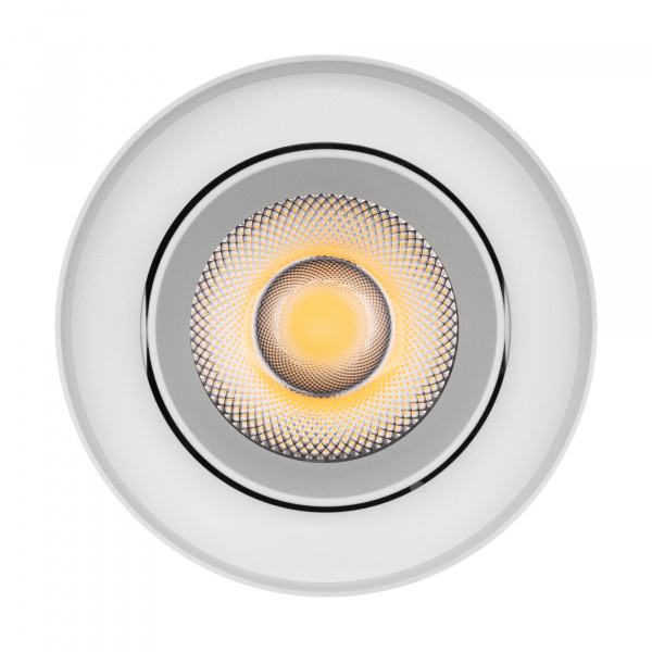 Arlight Светильник SP-FOCUS-R132-24W Warm3000 (WH, 36 deg, 230V) (IP54 Металл, 5 лет)