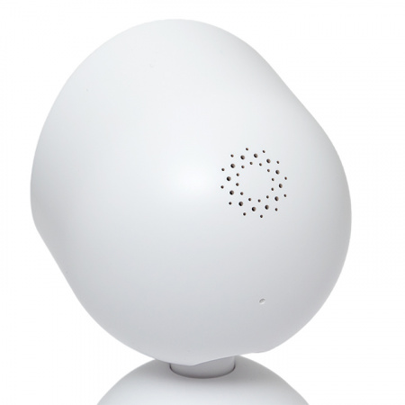 EKF Connect Умная поворотная камера Wi-Fi белая EKF Connect Умная поворотная камера Wi-Fi белая