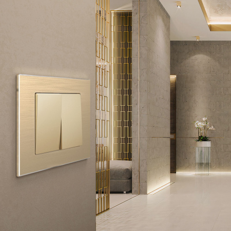 Рамка из металла на 1 пост Аluminium шампань алюминий W0011711