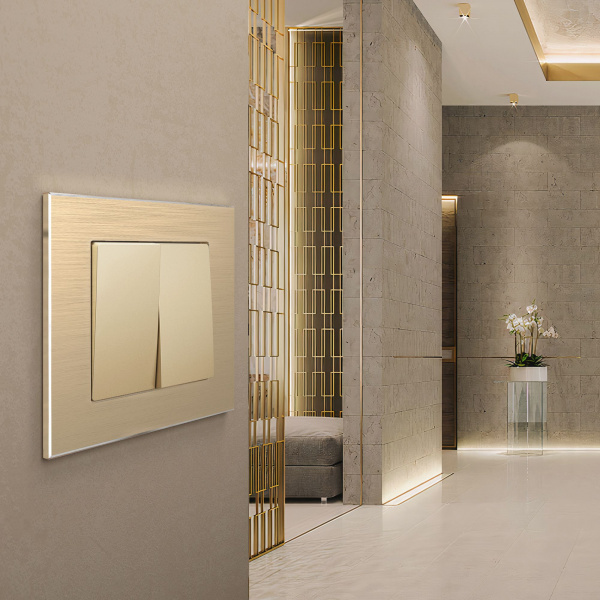 Рамка из металла на 1 пост Аluminium шампань алюминий W0011711