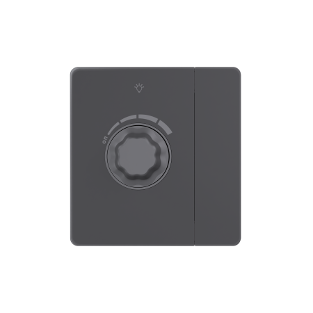 Systeme Electric Systeme Infinity Вулканический пепел Светорегулятор TRIAC c выключателем 300Вт