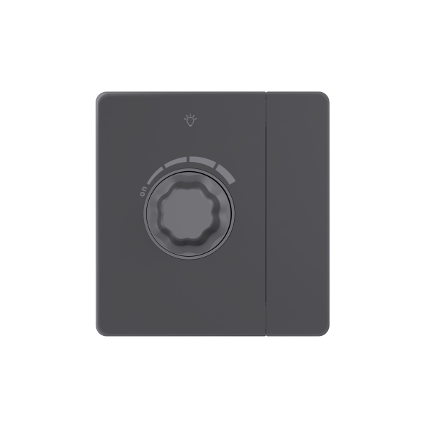 Systeme Electric Systeme Infinity Вулканический пепел Светорегулятор TRIAC c выключателем 300Вт