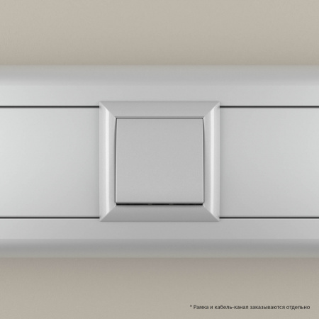 DKC Avanti Закаленная сталь Выключатель одноклавишный 2 модуля