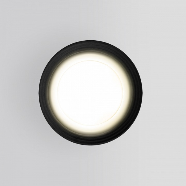 Накладной влагозащищенный светильник IP65 35128/H черный Elektrostandard Light a056268 Накладной влагозащищенный светильник IP65 35128/H черный Elektrostandard Light a056268