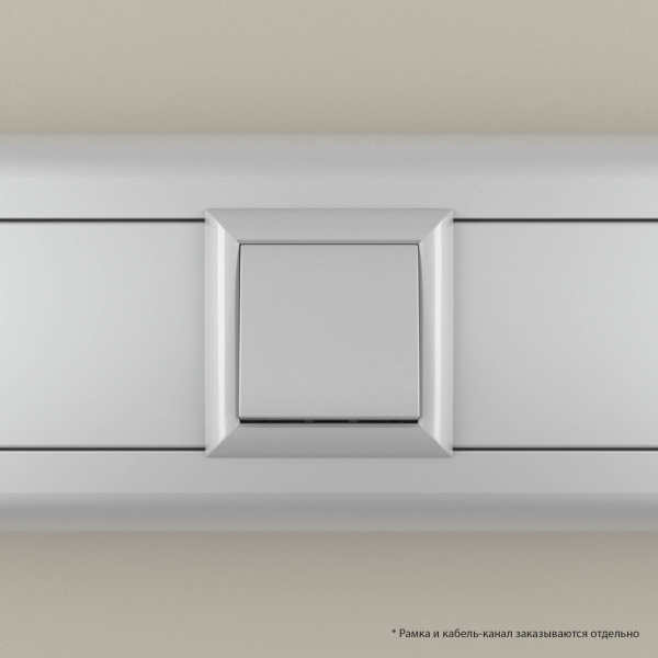 DKC Avanti Закаленная сталь Выключатель одноклавишный 2 модуля