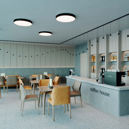 Arlight Светильник IM-RONDO-EMERGENCY-3H-R250-23W Day4000 (WH, 120 deg, 230V) (IP40 Металл, 2 года)