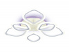 Потолочная светодиодная люстра Ambrella light Original FA516