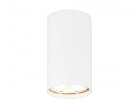 Потолочный светильник Ambrella light Techno Spot TN213133