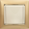 Legrand Valena Матовое Золото Рамка 1-ая
