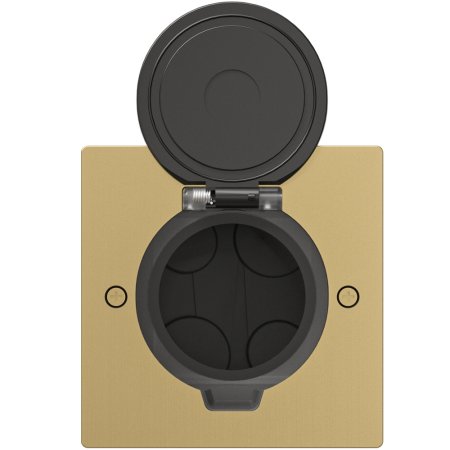 Лючок Surface 2 мод. (1 мод. 45х45 мм.), круглая крышка, зотоло, IP44