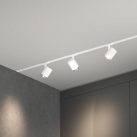 Светильник потолочный светодиодный Cors белый/серебро 10W 4200K (85513/01) однофазный 85513/01 Elektrostandard Cors a062390