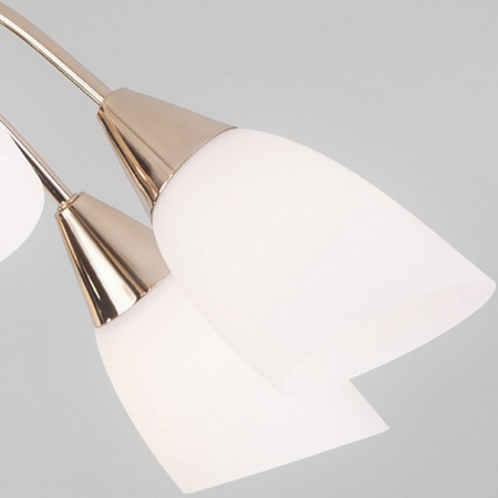 Потолочная люстра с плафонами 30149/8 золото Eurosvet Ellene