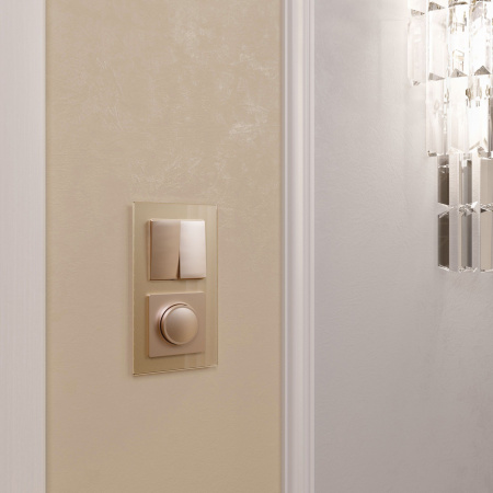 Рамка из стекла на 2 поста Favorit шампань W0021111