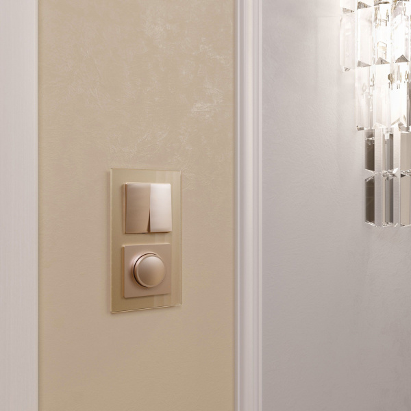 Рамка из стекла на 2 поста Favorit шампань W0021111