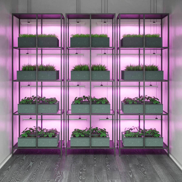 Настенный светодиодный светильник Gauss Fito Led TL 130411912 Настенный светодиодный светильник Gauss Fito Led TL 130411912