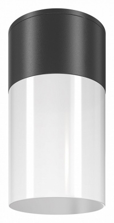 Потолочный светильник Outdoor O418CL-01B Maytoni Willis