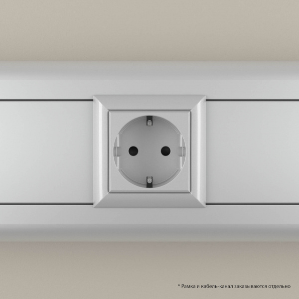 DKC Avanti Закаленная сталь Розетка 2P+E со шторками 2 модуля