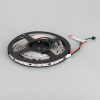 Arlight Лента SPI-B60-10mm 12V RGB-PX3 (14.4 W/m, IP20, 5060, 5m) (Открытый, IP20)
