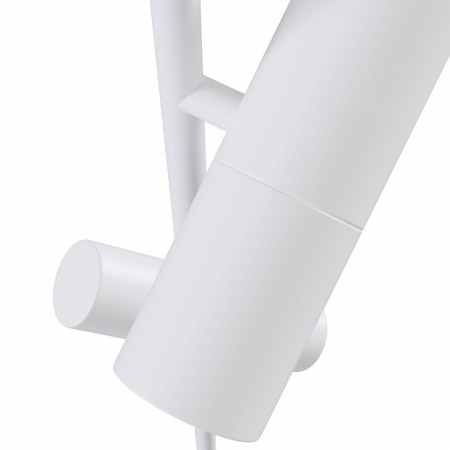 Потолочный светильник C021CL-02W Maytoni Elti