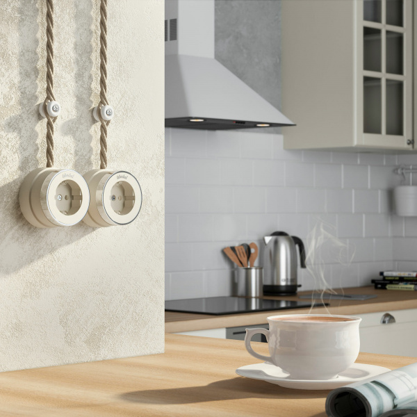 Розетка с заземлением Vintage слоновая кость матовый/хром W5871055