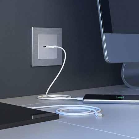 Розетка USB тип A+С (серебряный) W1171806