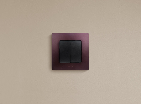 Legrand Etika Антрацит Выключатель 2-клавишный, авт.клеммы, 10 AX, 250 В