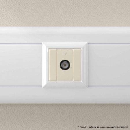 DKC Avanti Ванильная дымка Розетка TV проходная 1 модуль