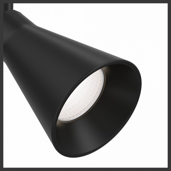 Потолочный светильник Maytoni Ceiling & Wall C061CL-01B Maytoni Virar