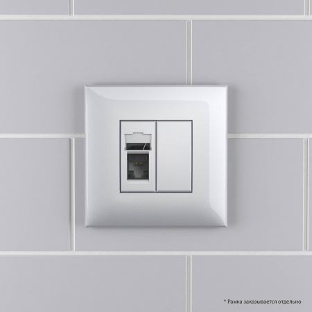 DKC Avanti Закаленная сталь Компьютерная розетка RJ-45 один  категория 5e