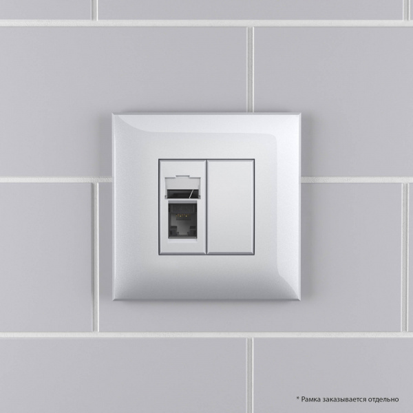 DKC Avanti Закаленная сталь Компьютерная розетка RJ-45 один  категория 5e