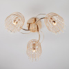 Потолочный светильник 30137/3 золото Eurosvet Bonnie